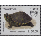 Turtle - Central America / Honduras 2018 - 30