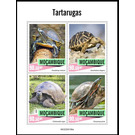 Turtles - East Africa / Mozambique 2020