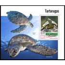 Turtles - East Africa / Mozambique 2020