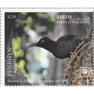 Twelve-Wired Bird of Paradise (Seleucidis melanoleucus) - Polynesia / Penrhyn 2020