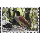 Twelve-Wired Bird of Paradise (Seleucidis melanoleucus) - Polynesia / Penrhyn 2020