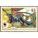 Two Male Lizards - Caribbean / Saint Lucia 2008 - 5
