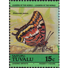 Two-tailed Pasha (Charaxes jasius) - Polynesia / Tuvalu, Vaitupu 1985