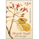 Ungeria floribunda - Norfolk Island 2020 - 2.20