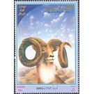 Urial (Ovis orientalis vignei) - Iran 2003
