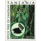 Vanilla - East Africa / Tanzania 2018