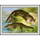 Various Crocodiles - West Africa / Togo 2021