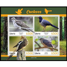 Various Cuckoos - West Africa / Liberia 2021