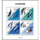 Various Dolphins - West Africa / Guinea 2021