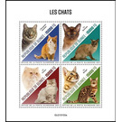 Various Domestic Cats - West Africa / Guinea 2021