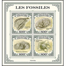 Various Fossils - West Africa / Togo 2021