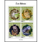 Various Owls - Central Africa / Central African Republic 2021