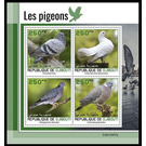 Various Pigeons - East Africa / Djibouti 2021