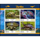 Various Turtles - West Africa / Liberia 2021