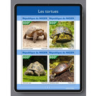 Various Turtles - West Africa / Niger 2021