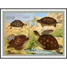 Various Turtles - West Africa / Togo 2021