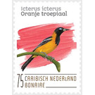 Venezuelan Troupial (Icterus icterus) - Caribbean / Bonaire 2020 - 75