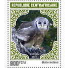 Verreaux's Eagle Owl (Bubo lacteus) - Central Africa / Central African Republic 2021 - 900