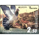 View of Sarajevo and Pigeon - Bosnia and Herzegovina 2020 - 2.50