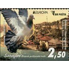 View of Sarajevo and Pigeon - Bosnia and Herzegovina 2020 - 2.50