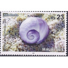 Violet Sea-snail (Janthiana janthiana) - East Africa / Mauritius 2017 - 23