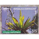 Vriesea capituligera - Caribbean / Dominican Republic 2019 - 15