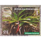 Vriesea incurva - Caribbean / Dominican Republic 2019 - 15