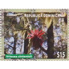 Vriesea sintenisli - Caribbean / Dominican Republic 2019 - 15