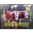 Water Buffalo - Macedonia / North Macedonia 2021 - 25