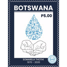 Water Conservation - South Africa / Botswana 2020 - 5