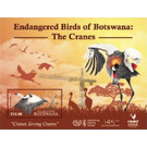 Wattled Crane - South Africa / Botswana 2019