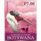 Wattled Crane - South Africa / Botswana 2019 - 7