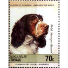 Welsh Springer Spaniel (Canis lupus familiaris) - Polynesia / Tuvalu, Nukulaelae 1985