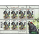 Western Capercaillie (Tetrao urogallus) - Belarus 2020