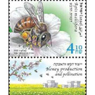 Western Honey Bee (Apis mellifera) - Israel 2020 - 4.10