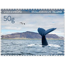 Whale - Iceland 2020
