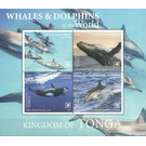 Whales & Dolphins of the World - Polynesia / Tonga 2020