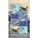 Whales & Dolphins of the World - Polynesia / Tonga 2020