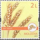 Wheat - Moldova 2019 - 2