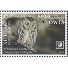 Whiskered Screech Owl - Aitutaki 2019 - 22.40