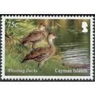 Whistling Ducks - Caribbean / Cayman Islands 2020 - 75