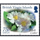 White Cedar - Caribbean / British Virgin Islands 2019 - 75