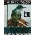 White-chested Emerald (Amazilia brevirostris) - Caribbean / Trinidad and Tobago 2019 - 2