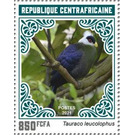 White-crested Turaco (Tauraco leucolophus) - Central Africa / Central African Republic 2021 - 850