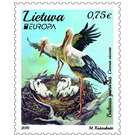 White Stork (Ciconia ciconia) - Lithuania 2019 - 0.75