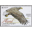 White-Tailed Eagle (Haliaeetus albicilla) - Åland Islands 2019