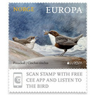 White-throated Dipper (Cinclus cinclus) - Norway 2019