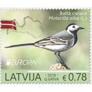 White Wagtail (Motacilla alba) - Latvia 2019 - 0.78