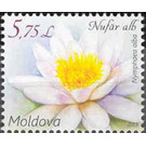 White Water Lily (Nymphaea alba) - Moldova 2019 - 5.75