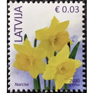 Wild Daffodil (Narcissus pseudonarcissus) - Latvia 2020 - 0.03